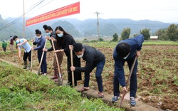 Nông thôn Tây Bắc: Thuận Châu ra quân làm thủy lợi mùa khô năm 2022