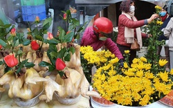 Đi chợ ngày rằm tháng Giêng: Rau xanh, hoa tươi "giảm nhiệt" nhưng giá vẫn cao, thịt, gà, tôm, cá giá như ngày thường