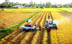 Nông sản xuất khẩu EU của Việt Nam sẽ tăng trưởng mạnh năm 2022