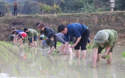 Sơn La: Hiệu quả dự án tăng cường tiếng nói và năng lực cho người nông dân ứng phó với biến đổi khí hậu