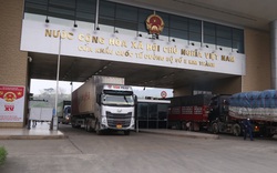 Trung Quốc đột ngột tạm ngừng nhập khẩu hàng hóa qua cửa khẩu Lào Cai, nông sản nào bị ảnh hưởng?