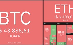 Giá Bitcoin hôm nay 17/2: Bitcoin ổn định, thị trường tiếp tục đi ngang