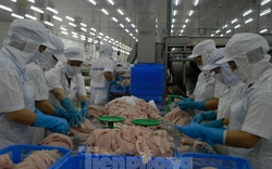Nhiều doanh nghiệp Việt Nam tham gia hội chợ thủy sản hàng đầu thế giới