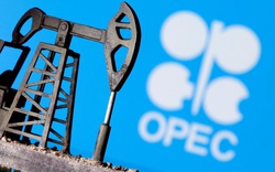 Đến OPEC cũng nghĩ giá dầu đang quá cao