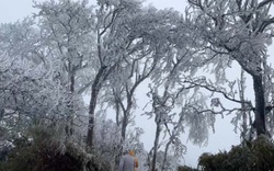 Băng tuyết trắng xóa đỉnh Phja Oắc - Nguyên Bình - Cao Bằng