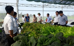 Xứ Quảng trải thảm đỏ kêu gọi đầu tư vào nông nghiệp
