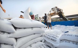 Thị trường gạo biến động mạnh, dự báo "nóng" về giá và xuất khẩu gạo