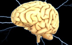 Các nhà khoa học tìm ra cách ngăn ngừa tổn thương tế bào thần kinh