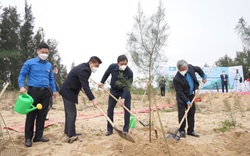 Ngân hàng BIDV trồng 6.500 cây xanh phòng hộ vùng ven biển tại Nghệ An