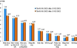 Việt Nam nhập siêu 2,53 tỷ USD đến giữa tháng 2