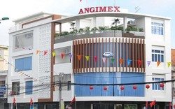 Angimex (AGM) sẽ trình Đại hội cổ đông phương án trả cổ tức và cổ phiếu thưởng tỷ lệ 130%