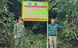 Dưới những cánh rừng già của Đồng Nai đang có một "kho báu" khổng lồ, khai thác tốt rừng vẫn xanh dân lại có tiền