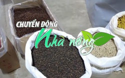 Chuyển động Nhà nông 25/2: Cơ hội cho gia vị và hương liệu Việt Nam sang Ấn Độ