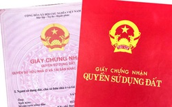 "Nữ quái" bịa là cán bộ Tổng cục Hải quan rồi lừa tiền tỷ của nhà chồng