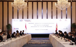 Gần 11 tỷ USD cam kết hợp tác giữa doanh nghiệp Việt Nam-Singapore
