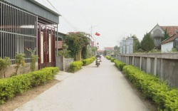Ở nơi này của tỉnh Nghệ An, người dân thu nhập tới 70 triệu đồng/người/năm
