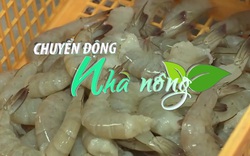 Chuyển động Nhà nông 28/2: Xuất khẩu nông thủy sản Việt Nam nhiều khả quan ngay từ đầu năm