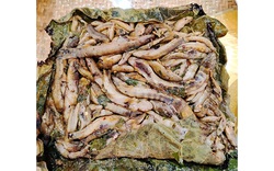 Lai Châu: Xuống suối bắt cá bống đem vùi tro-món đặc sản ở Mường So, ăn một lần rồi nhớ suốt mấy năm trời
