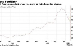 Giá phân bón ở Bắc Mỹ tăng mạnh nhất gần 5 tháng