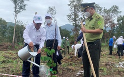 Xuân Nhâm Dần 2022: Khánh Hòa phát động "Tết trồng cây"