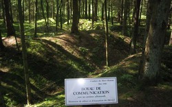 "Khu rừng ma" trên bãi chiến trường Pháp nguy hiểm ra sao?