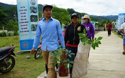 Quảng Nam sở hữu 1 trong 5 loài sâm quý nhất thế giới, lại dùng được hết không bỏ thứ gì 