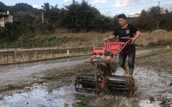 Nước lấy vào đồng, máy cày chạy ầm ầm, nông dân Sơn La tranh thủ trời ấm làm đất, chăm cây