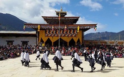 Bhutan độc đáo với lễ hội của loài chim thiêng cổ đen này