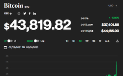 Giá bitcoin tăng vọt 10%