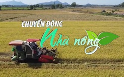 Chuyển động Nhà nông 1/3: Nhu cầu gạo Việt Nam được dự đoán sẽ tăng trong tháng tới