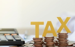 Mức phạt chậm quyết toán thuế thu nhập cá nhân năm 2022