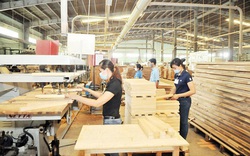 Úc trở thành thị trường cung cấp gỗ nguyên liệu hợp pháp nhất cho Việt Nam