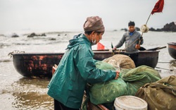 Sáng sớm tinh mơ ngư dân Cửa Lò đã mang cá tươi roi rói bày bán ngay bãi cát