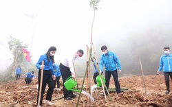 Ra quân Ngày cao điểm "Tình nguyện chung tay xây dựng nông thôn mới" tại Sơn La