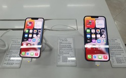 iPhone SE 2022 ra mắt khiến iPhone 13 giảm giá khó tin
