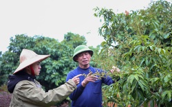 Thật bất ngờ, người đầu tiên góp công mang "kho báu" 7.000 tỷ lên Bắc Giang là một ông nông dân tên Trụ