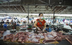 Đến gói mì tôm cũng tăng giá mà giá thịt lợn vẫn thấp, mỗi tạ lợn hơi nông dân lỗ 300.000 - 400.000 đồng