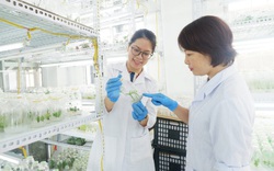 Học viện Nông nghiệp Việt Nam quan tâm đến ngành "hot" nhất hiện nay: Công nghệ sinh học trong y dược