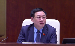Chủ tịch Quốc hội Vương Đình Huệ: Doanh nghiệp xăng dầu có thực hiện đúng việc dự trữ hay không?