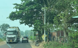 Bình Định: Thanh tra đột xuất ở xã có cựu Chủ tịch trả lại 10ha đất rừng vì cấp “không phù hợp”