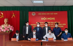 Trung ương Hội Nông dân Việt Nam: Bàn giao tài sản sau đầu tư Trung tâm Dạy nghề và hỗ trợ nông dân TP.Hải Phòng