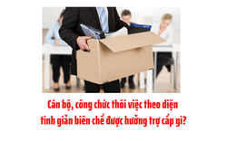 Thôi việc theo diện tinh giản biên chế được hưởng trợ cấp gì?