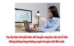 Tinh giản biên chế chuyển sang làm việc tại tổ chức không hưởng lương thường xuyên từ ngân sách Nhà nước hưởng trợ cấp gì?