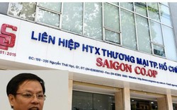 Vì sao phải xét xử kín vụ cựu Chủ tịch Saigon Co.op?