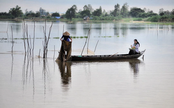 Nước sông Mê Kông cao bất thường gây nhiều nguy cơ cho ĐBSCL