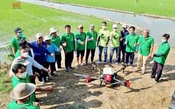 Chuyển đổi số nông nghiệp, ông chi hội trưởng nông dân ở An Giang dùng máy bay không người lái trồng lúa