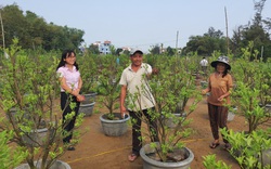 Quảng Nam: Vốn tín dụng chính sách - “Bệ phóng” cho người dân Hội An đổi đời