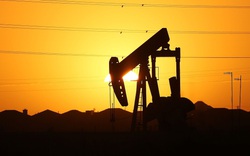 Anh, Đức, Nhật Bản cùng hướng về Trung Đông, nỗ lực ổn định thị trường dầu mỏ