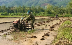 Nông dân Mường Bú: Hướng tới vụ xuân thắng lợi