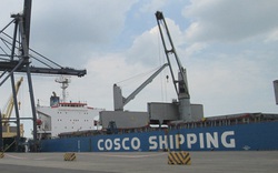 20 container hạt điều Việt Nam sắp cập cảng Italia, thông tin mới nhất do Thương vụ cung cấp